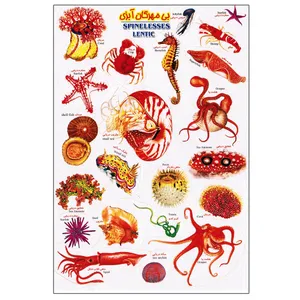 برچسب مدل بی‌مهرگان آبزی کد 15