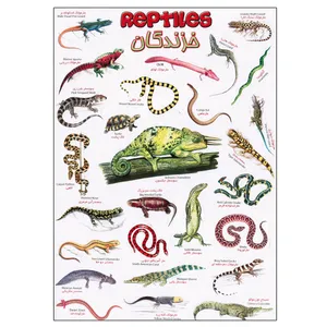 برچسب مدل خزندگان کد 623