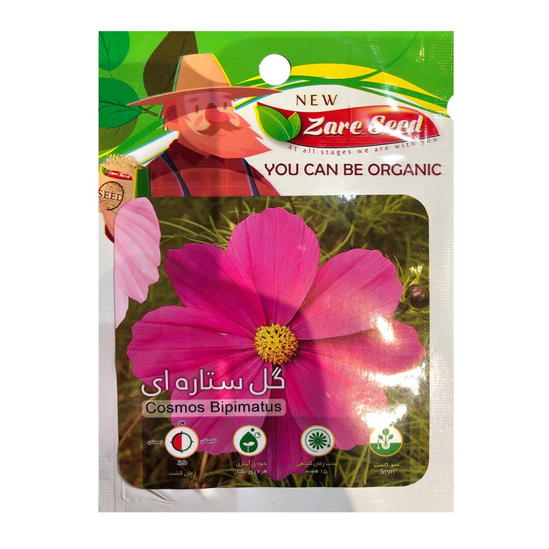 بذر گل ستاره ای پاسارگاد کشت زارع کد zs141