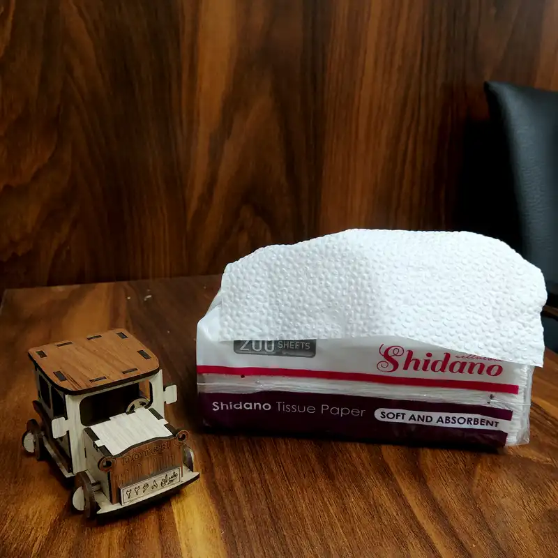 دستمال کاغذی 200 برگ شیدانو مدل بنفشه بسته 10 عددی