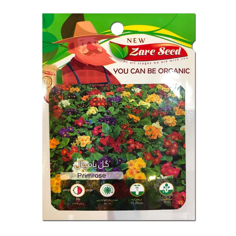 بذر گل پامچال پاسارگاد کشت زارع کد zs160