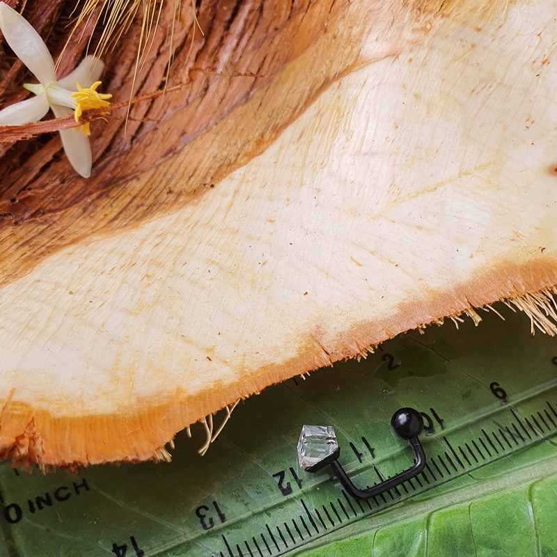 پیرسینگ بدن کد PS237