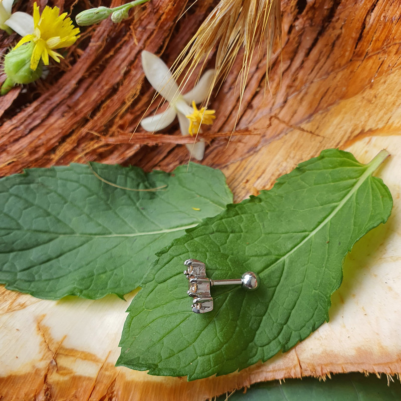 پیرسینگ بدن کد PS239