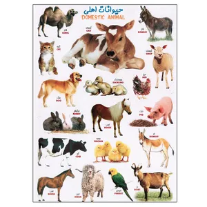 برچسب مدل حیوانات اهلی کد 803