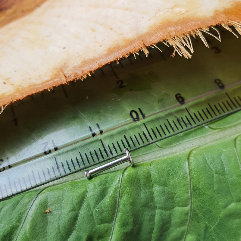 پیرسینگ بدن کد PS277