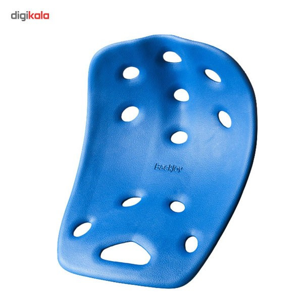 صندلی اصلاح وضعیت بک جوی مدل SitSmart Posture Plus Mini