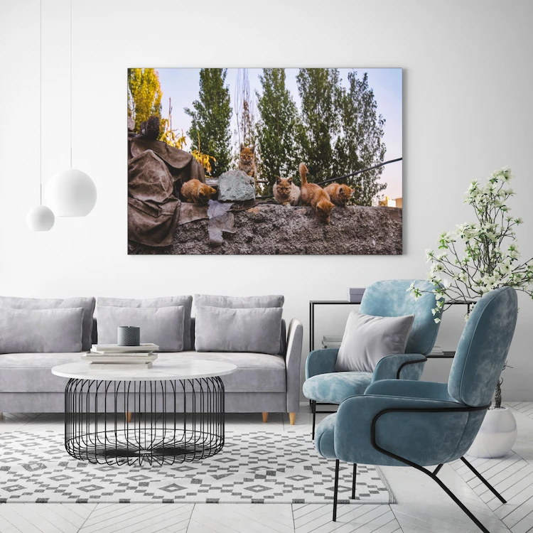 تابلو شاسی طرح گربه کد 78