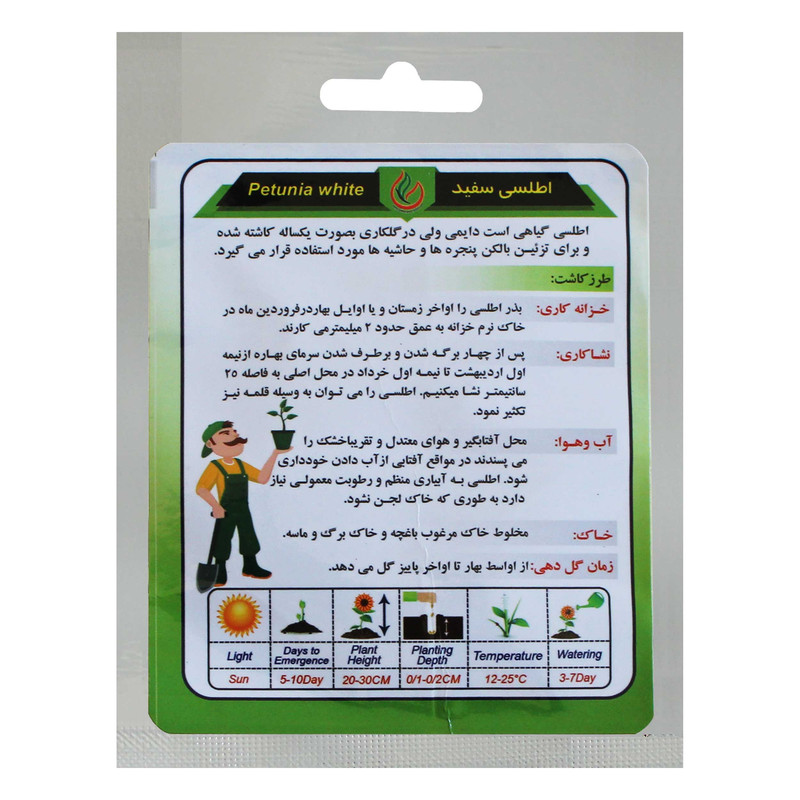 بذر گل اطلسی گل درشت سفید گلبرگ پامچال کد GPF-021