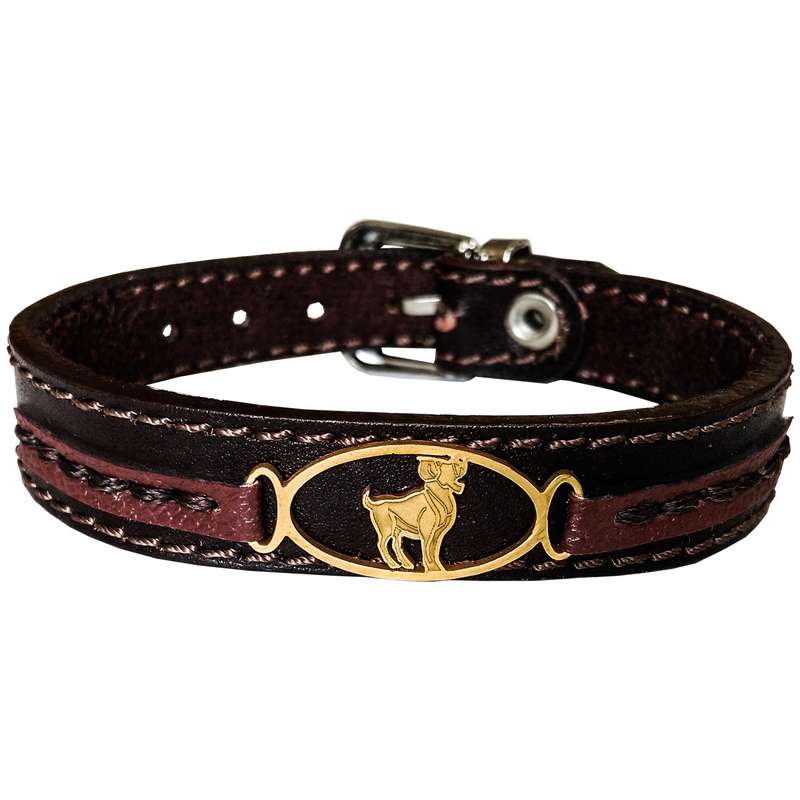 دستبند چرم وارک طرح نماد فروردین مدل پرهام کد rb75 دستبند چرم وارک طرح نماد فروردین مدل پرهام کد rb75