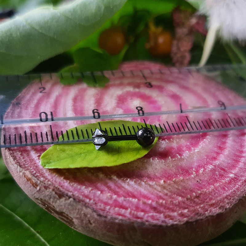 پیرسینگ بدن کد PS281 پیرسینگ بدن کد PS281