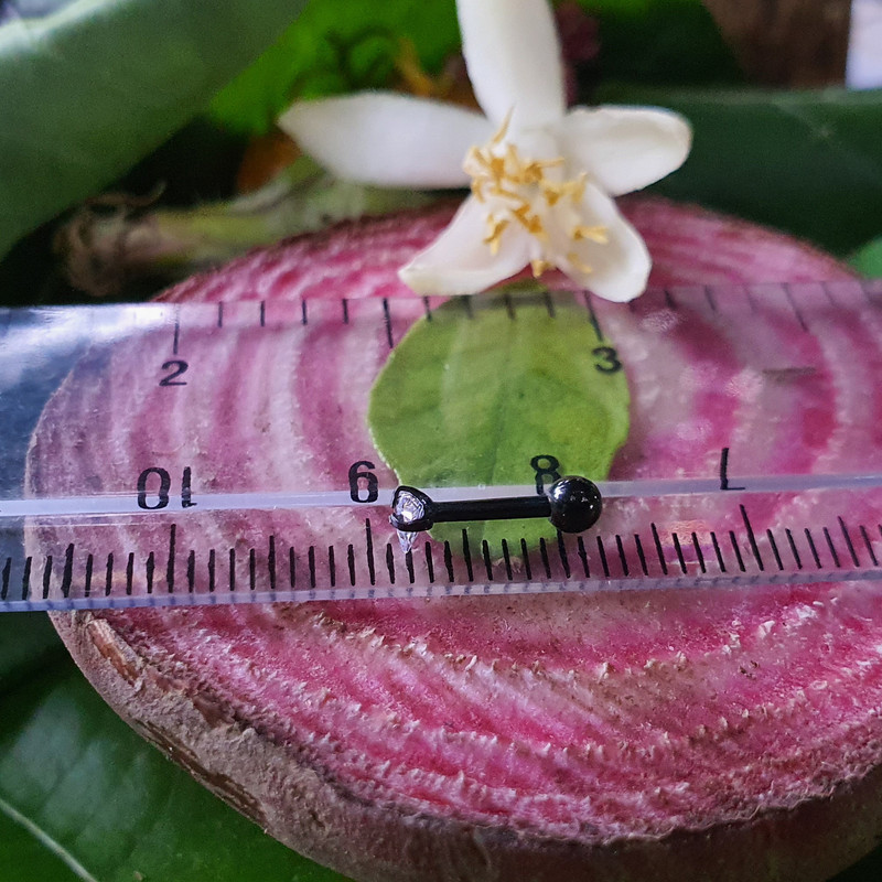 پیرسینگ بدن کد PS281 پیرسینگ بدن کد PS281