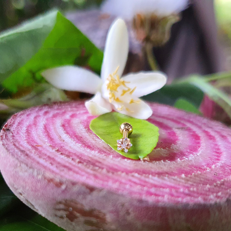 پیرسینگ بدن کد PS281 پیرسینگ بدن کد PS281