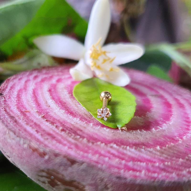 پیرسینگ بدن کد PS281 پیرسینگ بدن کد PS281