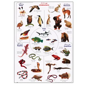 برچسب مدل مهره‌داران کد 530