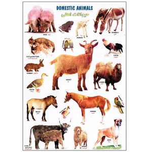 برچسب مدل حیوانات اهلی کد 1101 