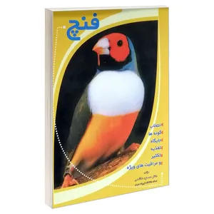 کتاب فنچ اثر دکتر مسعود هاشمی انتشارات فرهنگ جامع