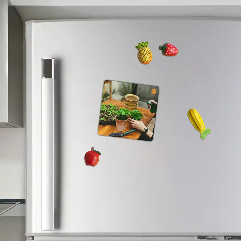 مگنت طرح بانو و گلدان گل کد wmg2372