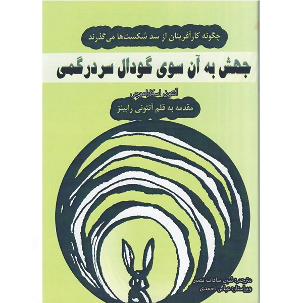 کتاب جهش به آن سوی گودال سردرگمی اثر آنتونی اسکاراموچی نشر راوشید