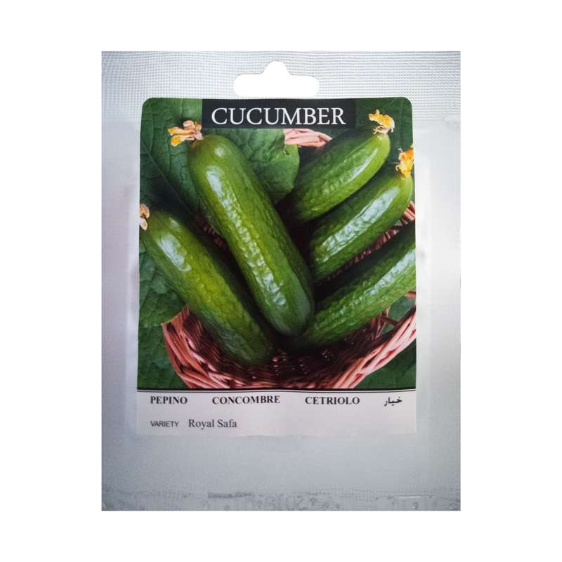 بذر خیار سینا بذر مدل BZG11 بذر خیار سینا بذر مدل BZG11