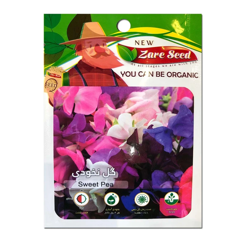 بذر گل نخودی پاسارگاد کشت زارع کد zs164