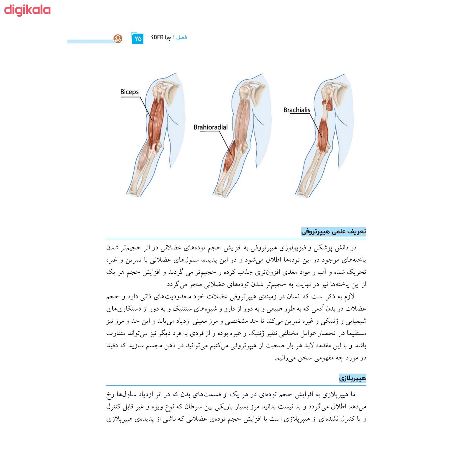کتاب اصول مربیگری پرورش اندام سیستم انقلابی BFR بی اف آر در پرورش اندام برنامه نویسی پیشرفته اثر صادق سلامی و دکتر علی پاکدل انتشارات حتمی main 1 4