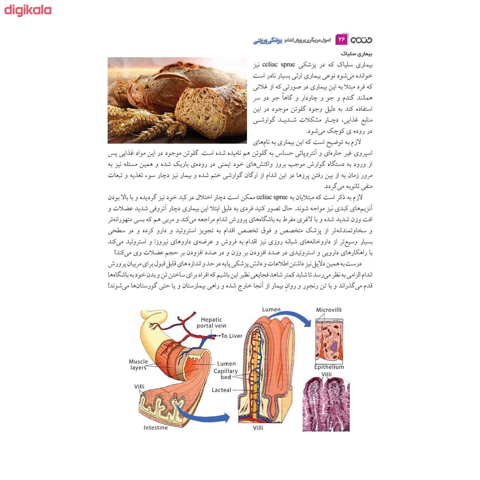 کتاب پزشکی ورزشی اصول مربیگری پرورش اندام اثر صادق سلامی و دکتر علی پاکدل انتشارات حتمی main 1 7