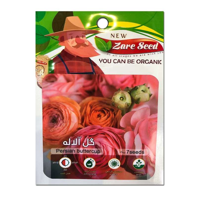 بذر گل آلاله پاسارگاد کشت زارع کد zs168