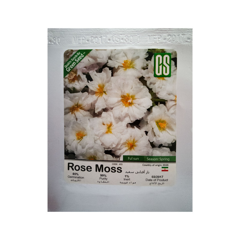 بذر گل ناز آفتابی سفید گرین سید مدل BZG81