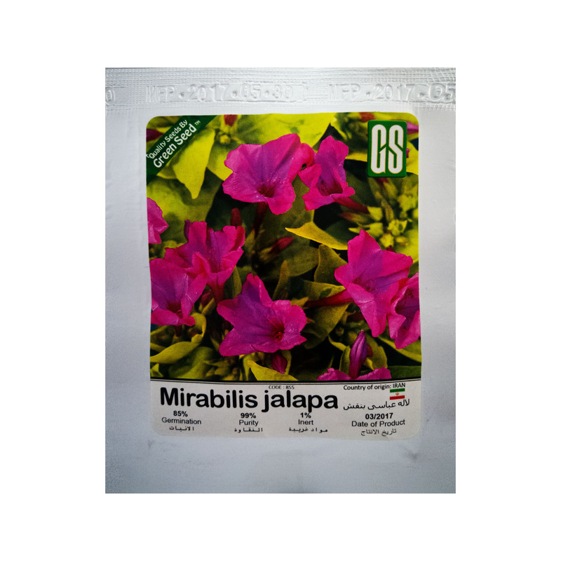 بذر گل لاله عباسی بنفش گرین سید مدل BZG85