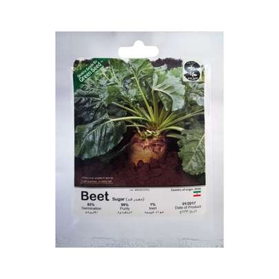 کدام دانه چغندر بهتر است؟