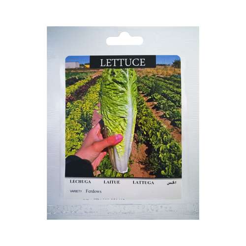 بذر کاهو پیچ فردوس سینا بذر مدل BZG13