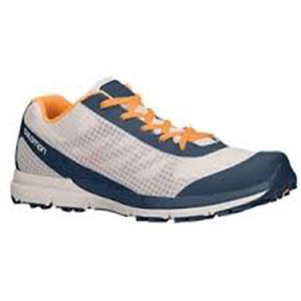 کفش مخصوص پیاده روی مردانه سالومون مدل RS362100