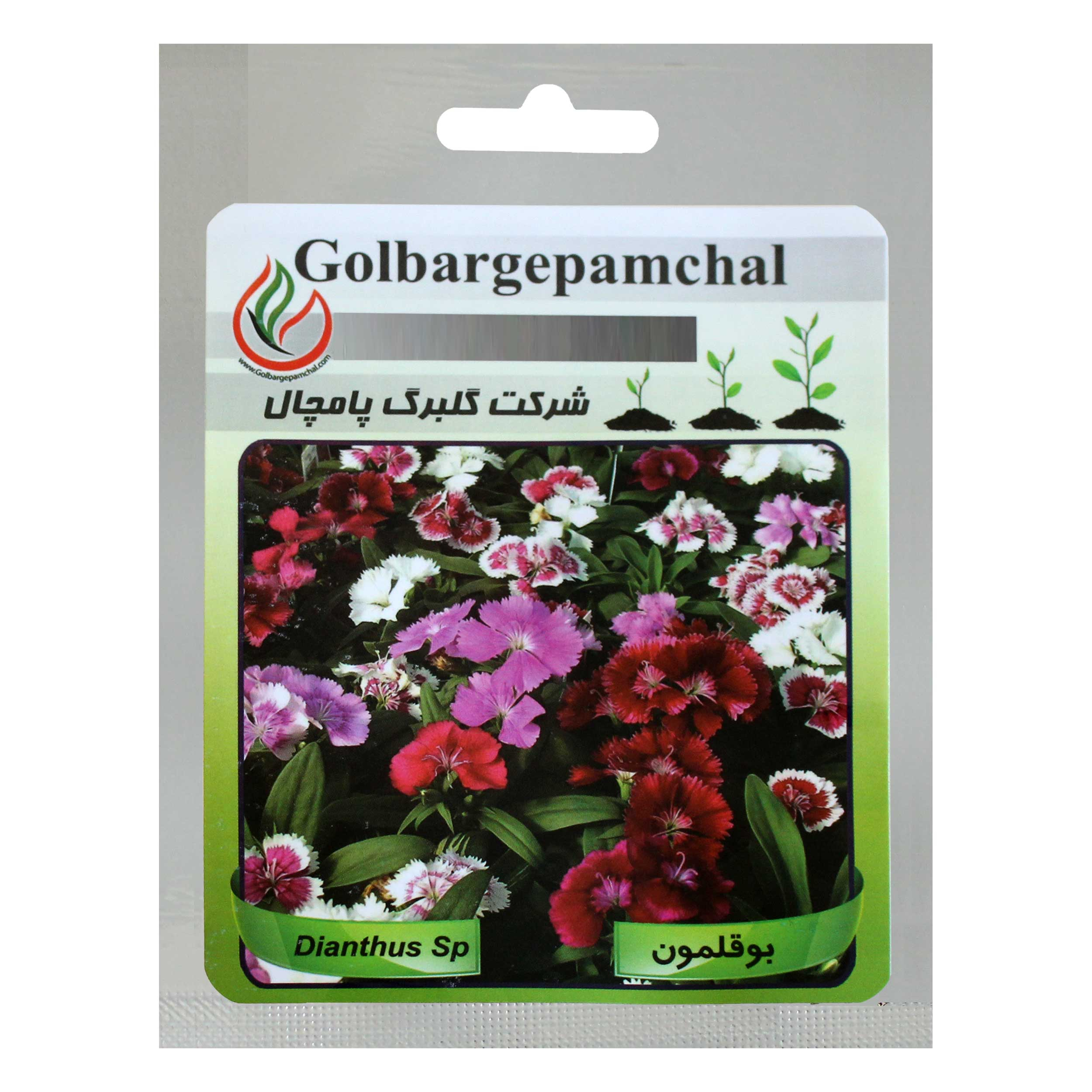 بذر گل بوقلمون الوان گلبرگ پامچال کد GPF-029