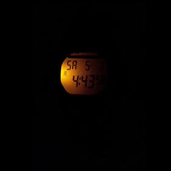 ساعت مچی دیجیتال مردانه کاسیو مدل  WS-1000h-3avdf             قیمت