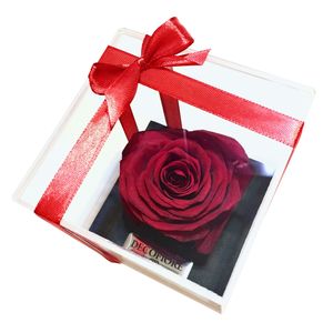 نقد و بررسی گل رز جاودان دکوفیوره مدل RedLove توسط خریداران