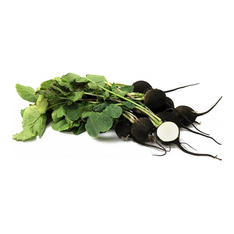 بذر ترب سیاه مهرسا کد k14