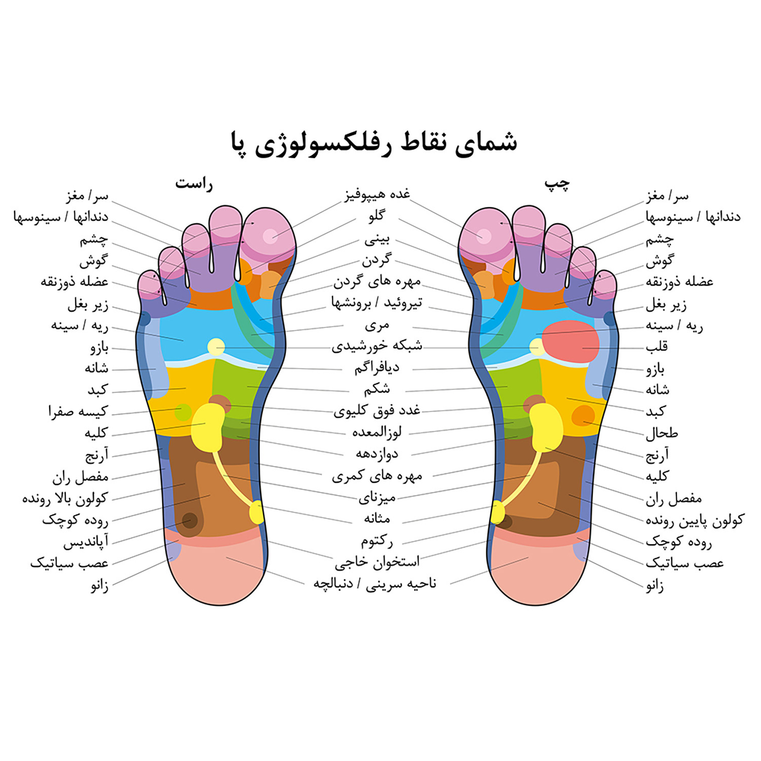 ماساژور کف پا کد BU11