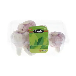 سیر تازه بلوط - 500 گرم