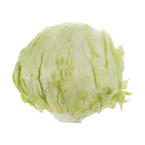 کاهو پیچ بلوط - 1 عددی