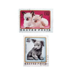 تمبر یادگاری طرح حیوانات مدل CATS کد C-612 مجموعه 2 عددی