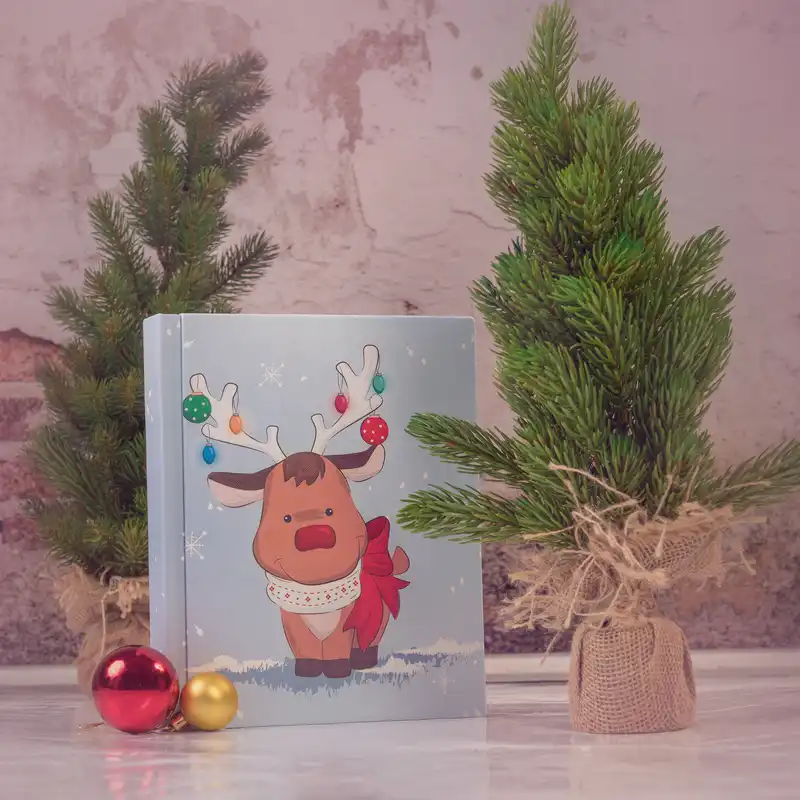 آلبوم عکس کفشدوزک مدل D02F2w