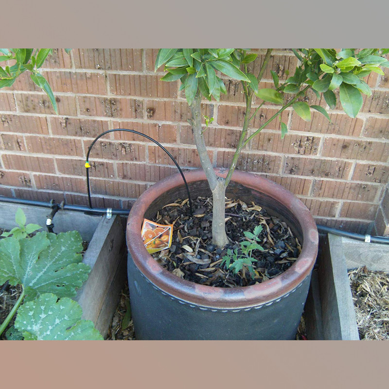 شلنگ آبیاری قطره ای تهران دریپ مدل TD-14 طول 400 متر