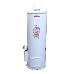 آبگرمکن گازی فردوس مدل RSN03