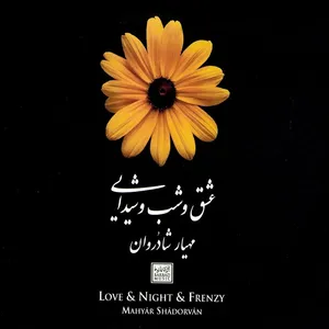 آلبوم موسیقی عشق و شب و شیدایی اثر مهیار شادروان