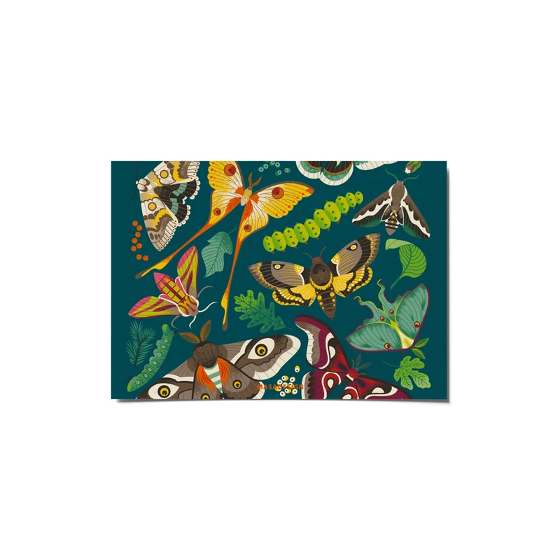  کارت پستال ماسا دیزاین طرح پروانه کد postv264