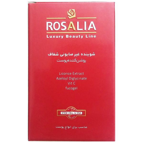 پن  شستشو رزالیا مدل روشن کننده وزن 100 گرم پن  شستشو رزالیا مدل روشن کننده وزن 100 گرم