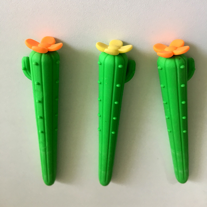 پاک کن طرح کاکتوس بسته 2 عددی