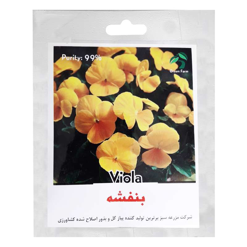 بذر گل بنفشه زرد گرین فارم مدل 02
