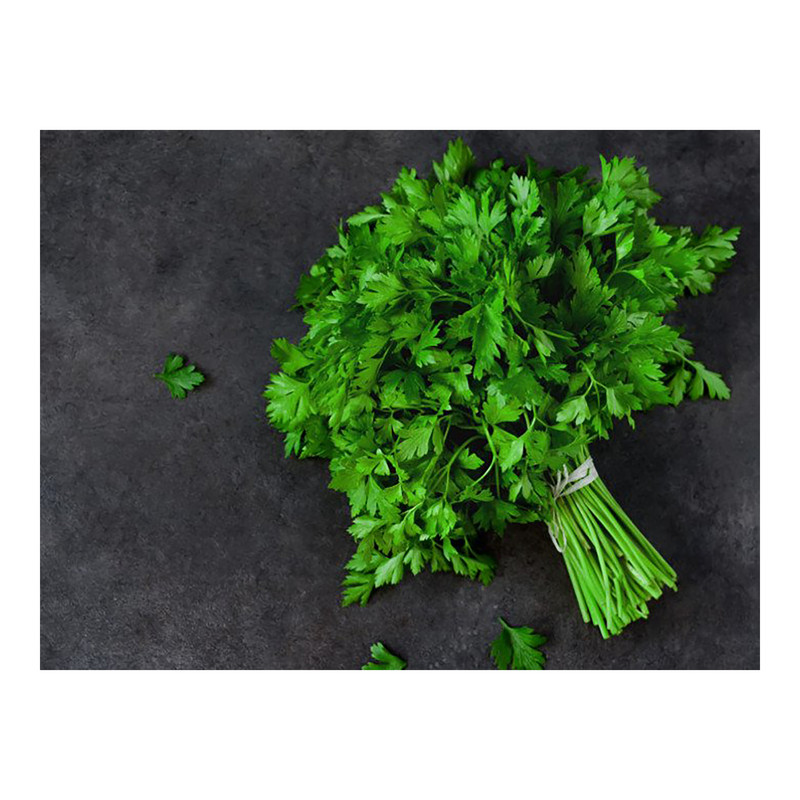 بذر جعفری گرین فارم کد 002