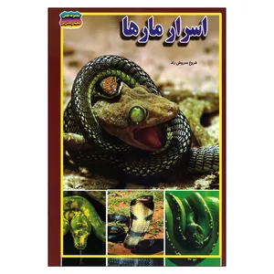 کتاب اسرار مارها اثر فروغ سروش راد نشر حباب